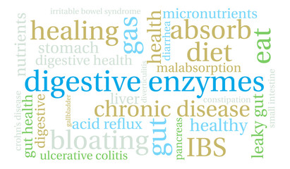 Obraz premium Digestive Enzymes Word Cloud