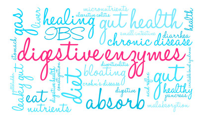 Digestive Enzymes Word Cloud on a white background. 