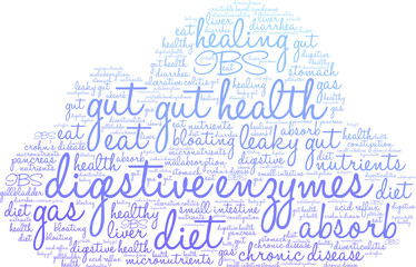 Digestive Enzymes Word Cloud on a white background. 