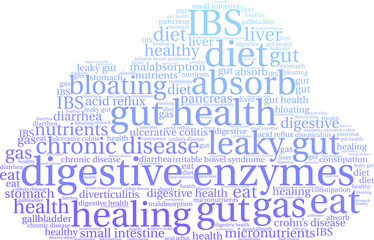 Obraz premium Digestive Enzymes Word Cloud on a white background. 