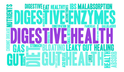 Digestive Health Word Cloud on a white background. 