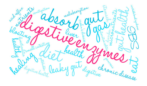 Digestive Enzymes Word Cloud on a white background.