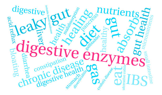 Digestive Enzymes Word Cloud on a white background. 