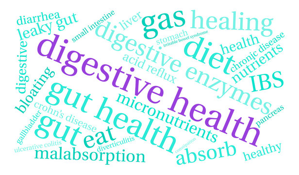 Digestive Health Word Cloud on a white background.