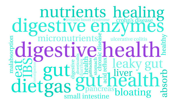 Digestive Health Word Cloud on a white background. 