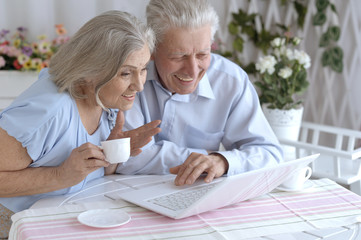 Elderly couple with a laptop