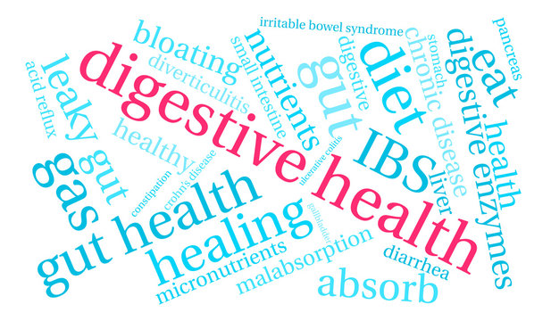 Digestive Health Word Cloud on a white background. 