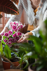 The woman caring for orchid flowers vertical
