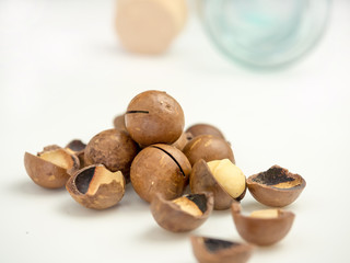 Ripe macadamia nuts closeup. Small Depth of Field