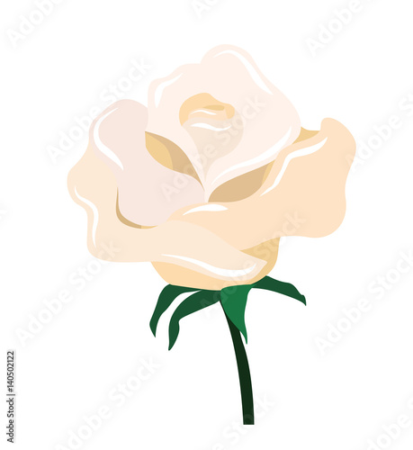 "Vector of white rose" Stock image and royalty-free vector files on