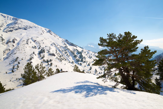 Pyrenees in Spain