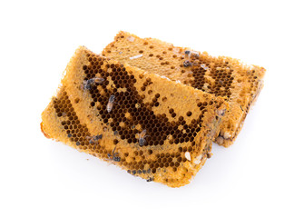 honeycomb isolated on white background