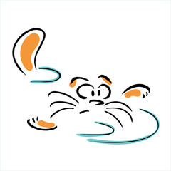 Swimming cat