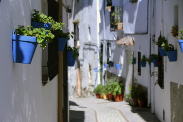 Fototapeta na wymiar Benarrabas. Scenes and white villages typical of Andalucia