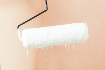 Painter painting the walls white in house