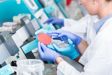 Wissenschaftler im Labor untersuchen Keimproben mit Gerät