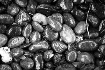 Pebble