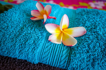 White tiare flowers on a towel