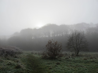 Fototapeta na wymiar Autumn misty morning amidst Dixie woods/Calderdale collection