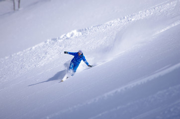 Naklejka na ściany i meble freeride en poudreuse