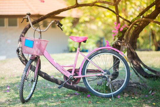 Pink bike parking in the park