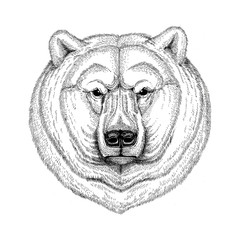Cool fashionable polar bear Image for tattoo, logo, emblem, badge design