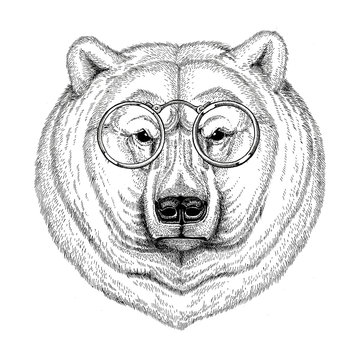 Cool fashionable polar bear Image for tattoo, logo, emblem, badge design