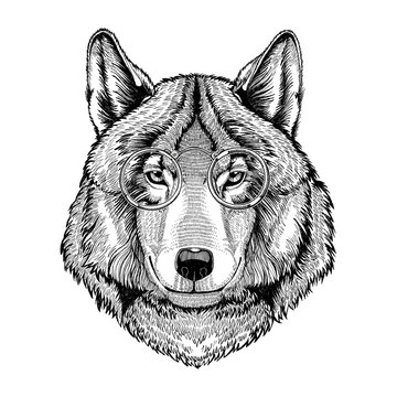 Hippie, hipster Wolf wearing glasses Image for tattoo, logo, emblem, badge design