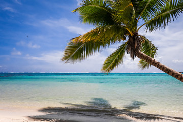 Plakat Paradise tropical beach and lagoon in Moorea Island