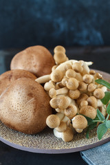 Shiitake and shimeji mushrooms on a plate, closeup