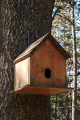 Wooden bird house closeup on oak tree