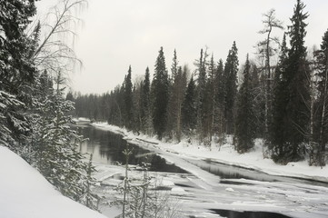 Зимняя река в лесу.