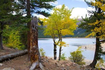 Fototapeta premium Nature of the Jefferson Lake Recreation Area, Colorado