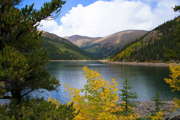 Nature of the Jefferson Lake Recreation Area, Colorado