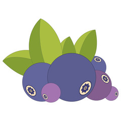Heap of blueberries and leaves isolated on white. Vector illustration logo or tag of ripe blueberry and leaf