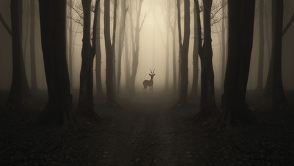 silhouette de cerf sur le chemin forestier, paysage surréaliste sombre