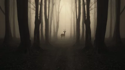Gardinen Hirschsilhouette auf Waldweg, dunkle surreale Landschaft © andreiuc88