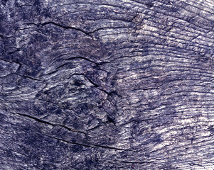 Old blue toned tree cut texture.