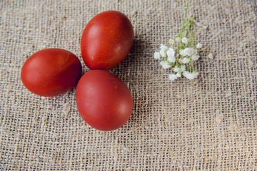 Easter eggs on a beautiful background.