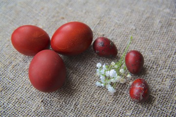 Easter eggs on a beautiful background.