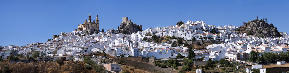 Fototapeta na wymiar Overview of the town of Olvera, in the province of Cadiz, Spain