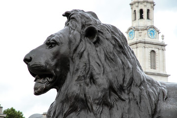 London - Löwe am Trafalgar Square