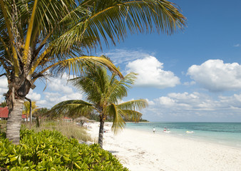 Grand Bahama Island Beach
