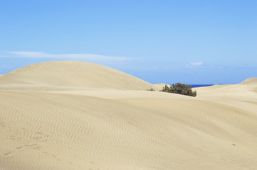 Summer landscape of sand dunes and blue sky.