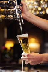Bartender pouring the fresh beer in pub,barman hand at beer tap pouring a draught lager beer,beer from the tap,Filling glass with beer,fresh beer,pub.Bar.Restaurant.European bar.American bar.