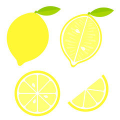 Lemon fruit vector