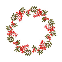 Wreath made of branches of rowan with leaves and berries on a white background. - obrazy, fototapety, plakaty