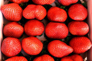 Fresas alineadas