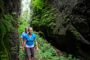 Older couple hiking in the forest