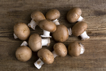 Fresh mushrooms on wooden background